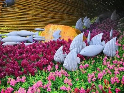 粤港澳大湾区花展时间(几点开放几点闭园)