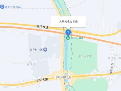 南山大沙河龙舟赛2025时间地点