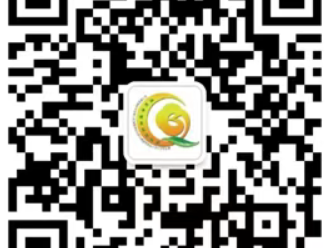 2025年秋季兰州市城关区保育院招生报名公示