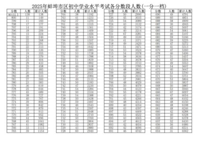 2025蚌埠市中考成绩各分段一分一档表