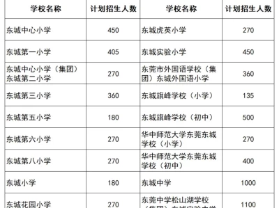 2025东莞东城街道公办学校招生计划（人数）