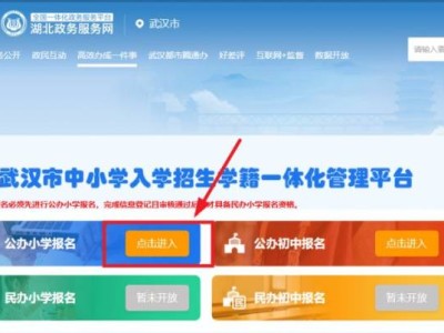 武汉幼升小学怎么在网上报名?(附入口及流程)