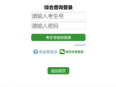 广州市高中阶段学校招考服务平台怎么查询分数（2025）