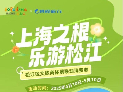 2025松江文旅商体展联动消费券活动详情（时间+入口+领取指南）