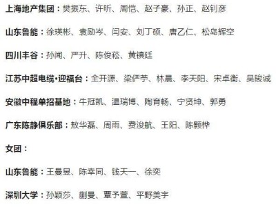 2025兵超联赛球员名单