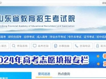 山东省教育招生考试院官方网站(https://www.sdzk.cn)