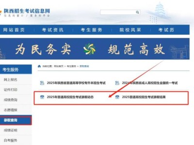 2025陕西高考录取结果查询官网入口https://www.sneac.edu.cn/pzcjweb/lqcx/lqcxindex.jsp