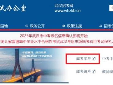 武汉学考成绩查询入口网站及时间2025