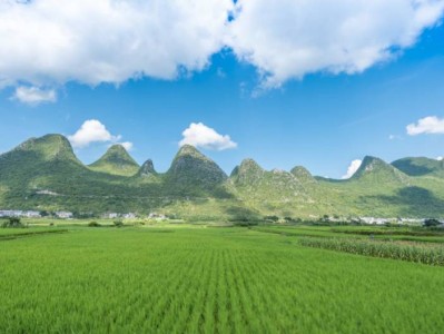 万峰林游玩攻略(开放时间+门票+交通)