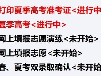 2025山东高考志愿填报模拟演练指南（时间+平台+须知）
