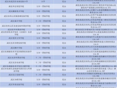 武汉民办学校有哪些（小学+初中）