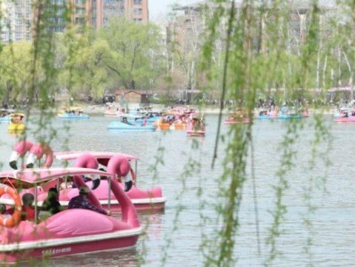 2025北京玉渊潭樱花节免费赏樱接驳车时间地点指南