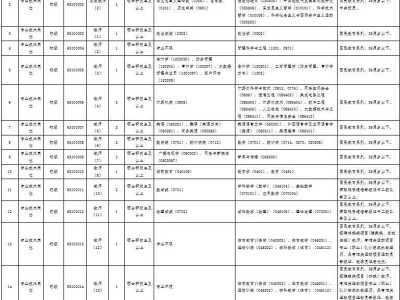 青海民族大学2025年公开招聘紧缺硕士专任计划一览表