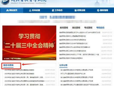 湖北艺考成绩查询入口官网2025