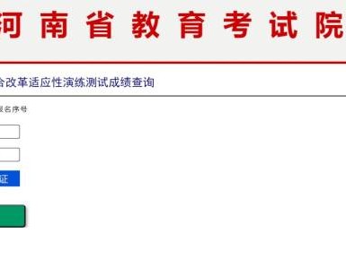 2025年河南省八省联考成绩查询开通