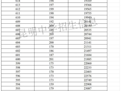 2024年昆明中考一分一段表（附分数线）