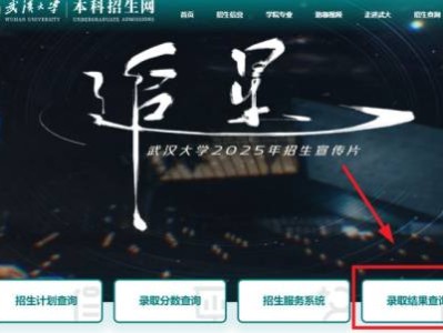 2025武汉大学高考录取结果查询官网入口汇总（附流程图）