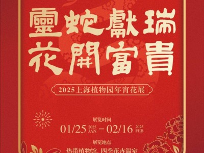 2025上海植物园年宵花展攻略(时间+门票+看点+交通)