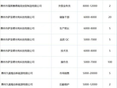 2025年大亚湾开发区“南粤春暖”专场招聘会时间地点