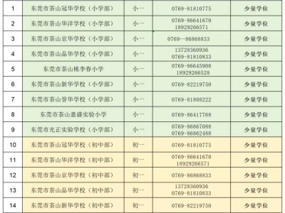 2025东莞茶山镇民办学校第二轮补录计划