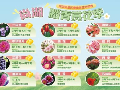 2025常熟尚湖牡丹花会观赏指南(时间+门票+活动+交通)