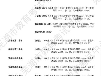 2024芜湖各学校中考录取分数线