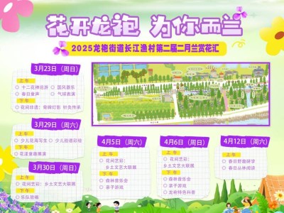 2025南京长江渔村二月兰赏花汇活动时间+地点+亮点
