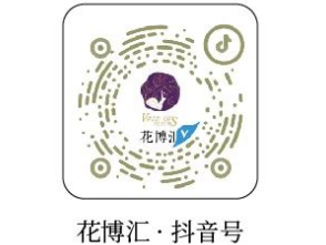 武汉花博汇2025年端午节烟花秀活动时间+购票入口