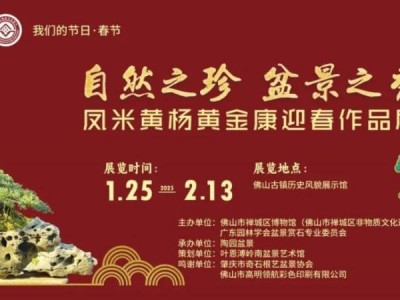 2025梁园凤米黄杨黄金康迎春作品展活动时间+场馆