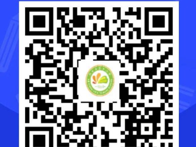 内乡县第三小学2025年秋期一年级招生通告