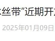 2025年1月国家速滑馆冰丝带近期开放时间公告