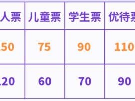 2025夜上黄鹤楼端午节光影秀表演时间+门票价格+购票入口