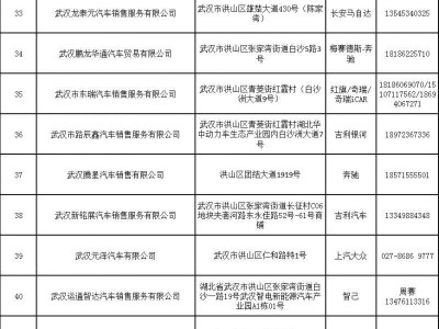 2025武汉洪山区汽车消费券哪些人可以领？