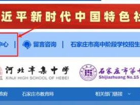 石家庄市教育考试院官方网站怎么查询中考成绩