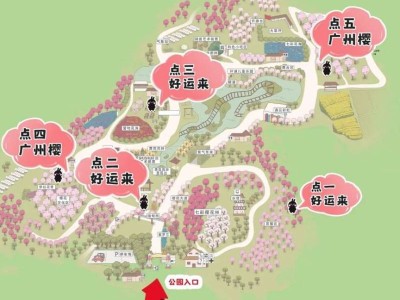 2025广州从化天适樱花悠乐园赏花攻略（时间+地点+门票）