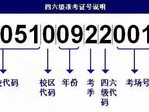 英语四六级准考证号忘了怎么查成绩？