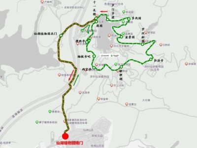 深圳仙湖植物园环园观光线运营时间+停靠站点+发车间隔