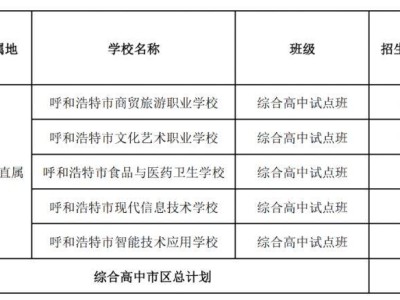 呼和浩特2025市区综合高中试点班招生计划表