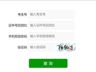 2025山东省合格考成绩查询系统入口（https://cx.sdzk.cn）