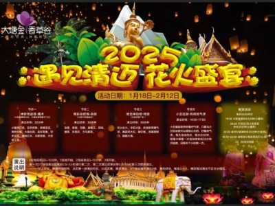 2025南京大唐金香草谷春节灯会免票政策(时间+人群)