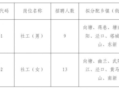 南昌县2025年编外禁毒专职社工招聘公告