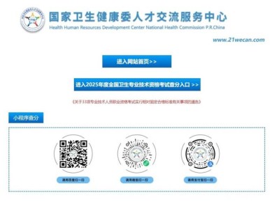2025卫生专业技术资格考试成绩查询说明