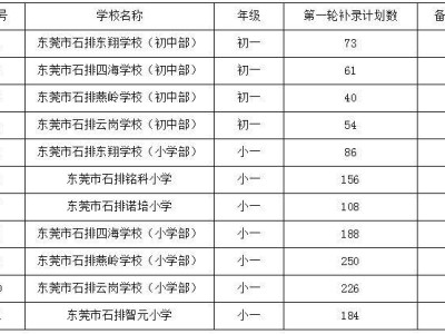 2025东莞石排镇民办义务教育学校第一轮补录计划及结果