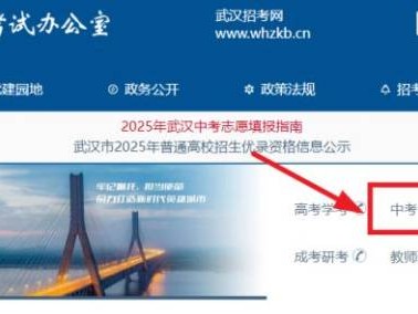 武汉中考录取结果查询官网2025