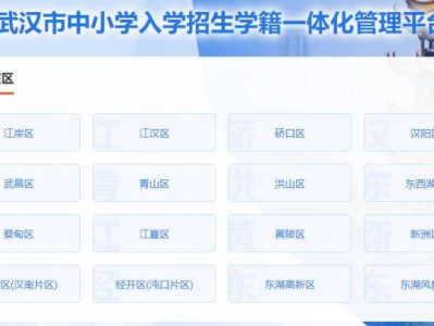 武汉小学新生报名系统入口2024