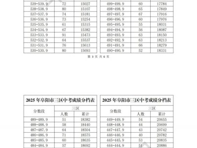 阜阳市2025年各县市区中考成绩分档表