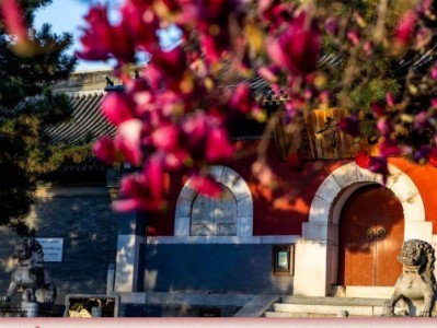 北京云居寺赏花指南(时间+必打卡景点)