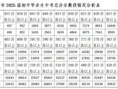 2025南京市中考总分分数段情况分析表+投档线