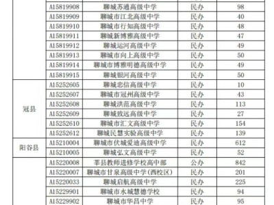 2025年聊城市普通高中和职教高考实验班征集志愿报名指南