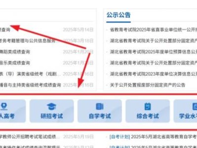 湖北教育考试院官网怎么打不开？